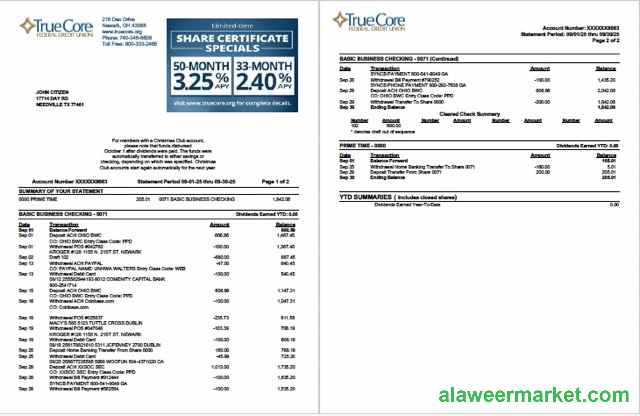 USA TrueCore Federal Credit Union account statement Word and PDF template, 2 pages